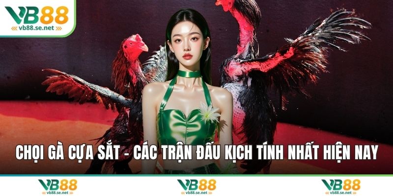 Chọi gà cựa sắt