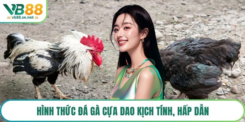 Hình thức đá gà cựa dao kịch tính, hấp dẫn