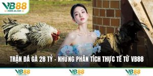 Trận đá gà 24 tỷ