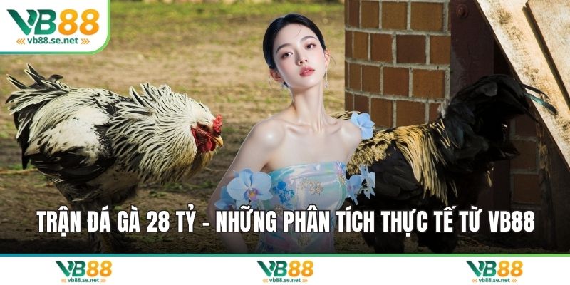 Trận đá gà 24 tỷ